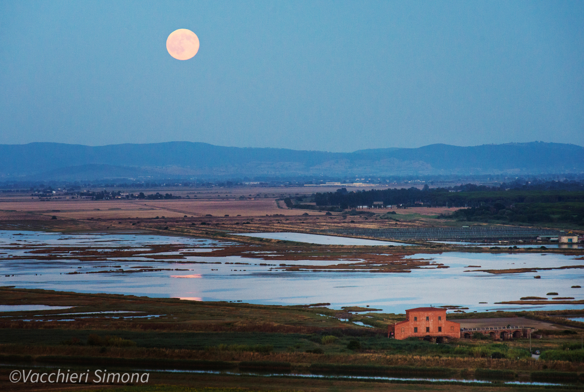 2015-07-31_maremma_33
